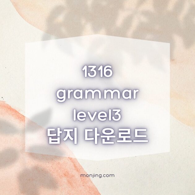 1316 GRAMMAR Level 3 답지 (2024)